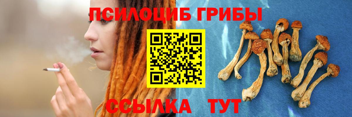 Галлюциногенные грибы Cubensis Нижний Тагил